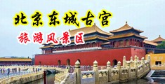 美女自拍扣洞洞中国北京-东城古宫旅游风景区